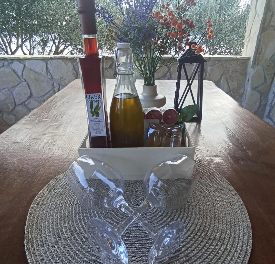 Holiday home Holiday House Sea Laguna Tkon Croatia